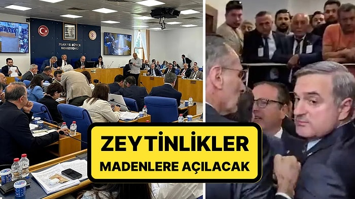 24 Saat Sürdü: İtirazlara Rağmen 'Zeytinlik' Maddesi Komisyonda Kabul Edildi
